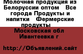 Молочная продукция из Белоруссии оптом - Все города Продукты и напитки » Фермерские продукты   . Московская обл.,Ивантеевка г.